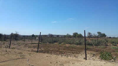 Photos of Mzinyeni Meals on Wheels