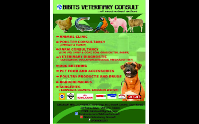 Photos of Bibits Veterinary Consult