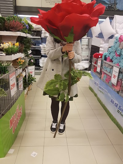 Photos of Europris Sola