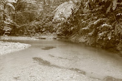 Photos of GambaGam Eco Station