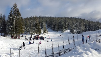 Photos of Ringkollstua