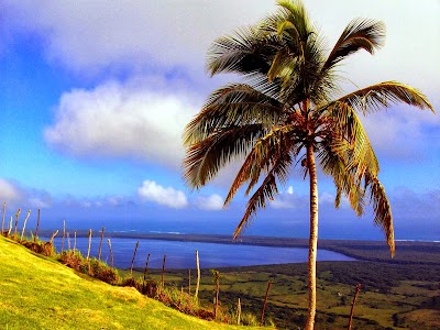 Photos of Otro Mundo, Guaco,