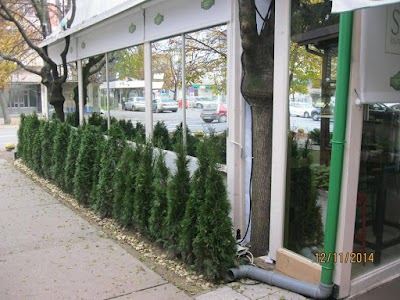Photos of Lounge Bar Seir