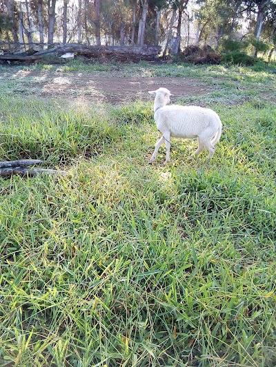 Photos of Ferreinsumos La Punta