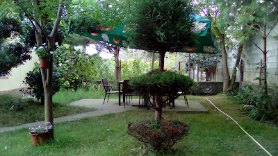 Photos of Bar - Restaurant VERDE