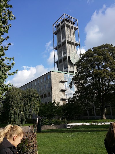 Photos of Aarhus R&aring;dhus