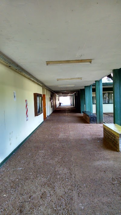 Photos of Faculty of Forestry