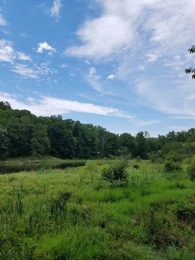 Photos of Lake Russell Recreation Area