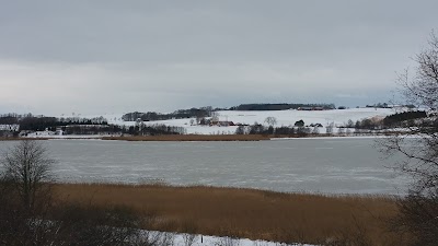 Photos of VIA University College