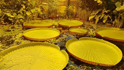 Photos of The Botanical Garden