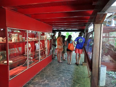 Photos of Jaguar Rescue Center