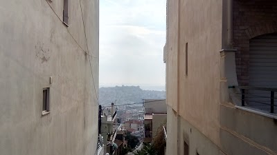 Photos of Park