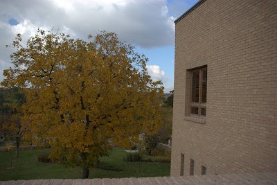 Photos of V&ouml;lgyik&uacute;t H&aacute;z