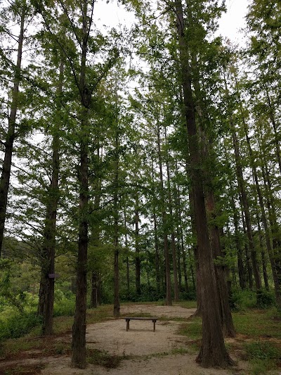 Photos of 하늬라벤더팜
