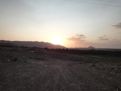 Photos of شرکت بزرگ بسته بندی عسل بهونه