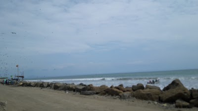 Photos of The Cottages by the Sea