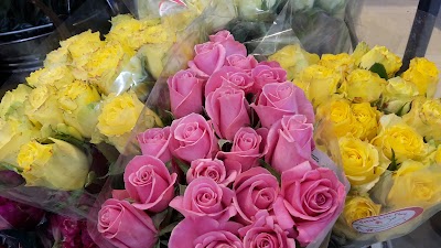 Photos of Parklane SUPERSPAR