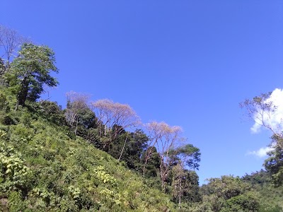 Photos of La Colina