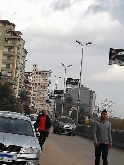 Photos of Areon Damietta