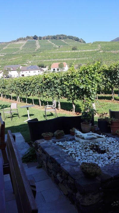 Photos of Weingut Donabaum in der Spitz - Martin & Alexandra Donabaum