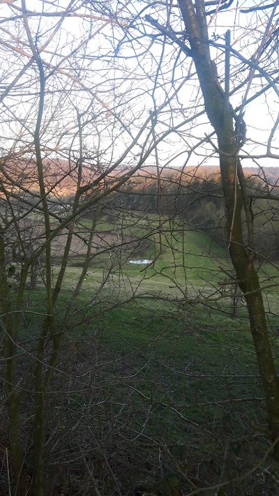 Photos of Hotel Berg en Dal