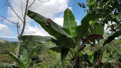 Photos of La Botija Hotel and Restaurant