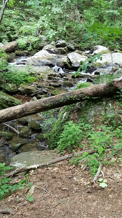 Photos of Anna Ruby Campground
