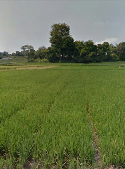 Photos of Lumban Siahaan Gurgur