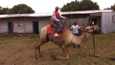 Photos of Samburu Public Campsite 4