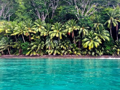 Photos of Golfo Dulce Retreat