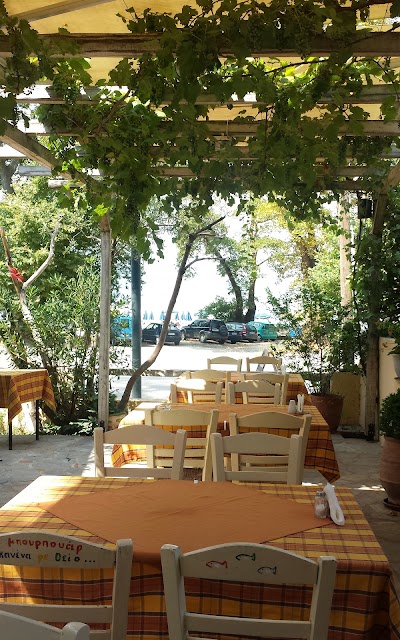 Photos of Amalthia Seafood Restaurant