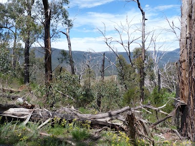 Photos of Cathedral Range State Park