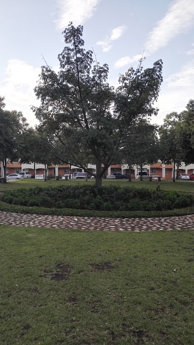 Photos of Ceiba - Jardines Del Carmen 2