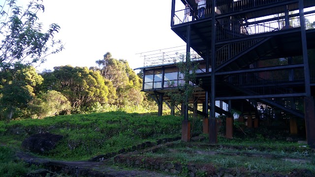 The Rainforest Ecolodge - Sinharaja