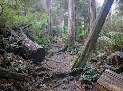 Photos of Mushroom Rocks Campground