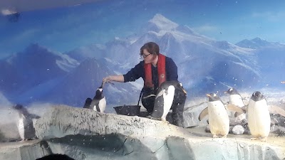 Photos of Dingle Oceanworld Aquarium