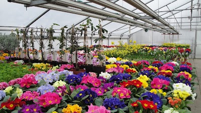 Photos of Blumen Mayer