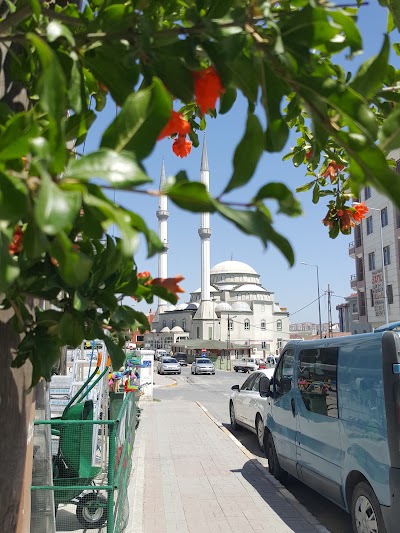 Photos of KAVAKLI YENİ CAMİİ