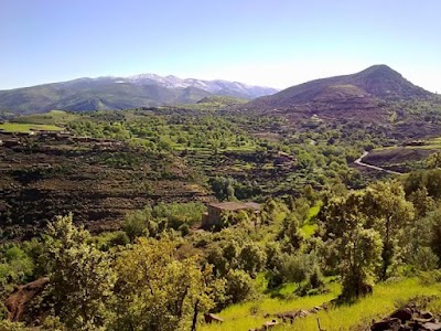 Photos of Tizinoubadou