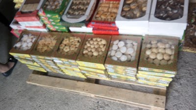 Photos of Alash Sauda Ortalygy
