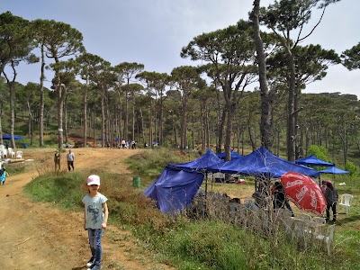 Photos of La Popotte