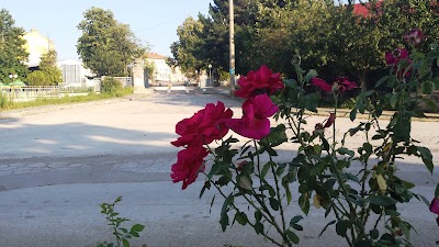 Photos of Bus and Coach Station Smyadovo