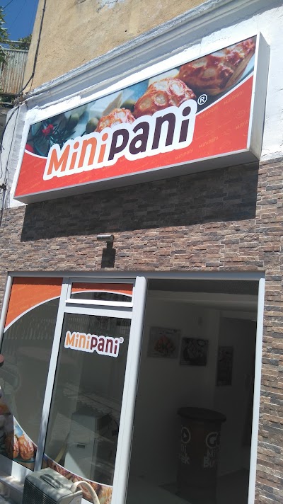 photo of Mini Pani