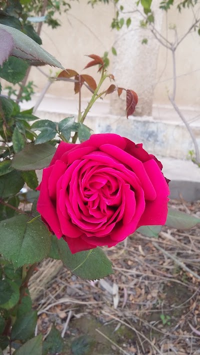 Photos of Zahra Park