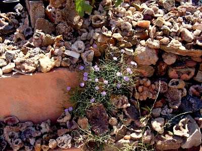 Photos of Col Tizi N'Tichka