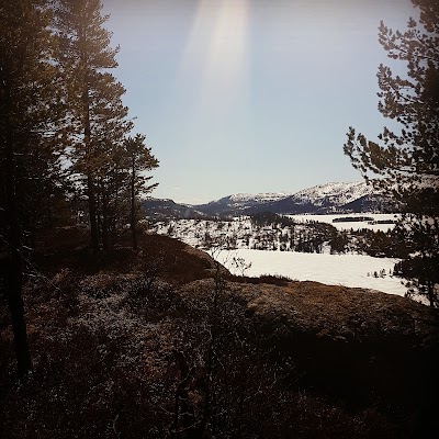 Photos of &Oslash;vre Birtedalen