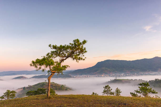 anh hoa da lat
