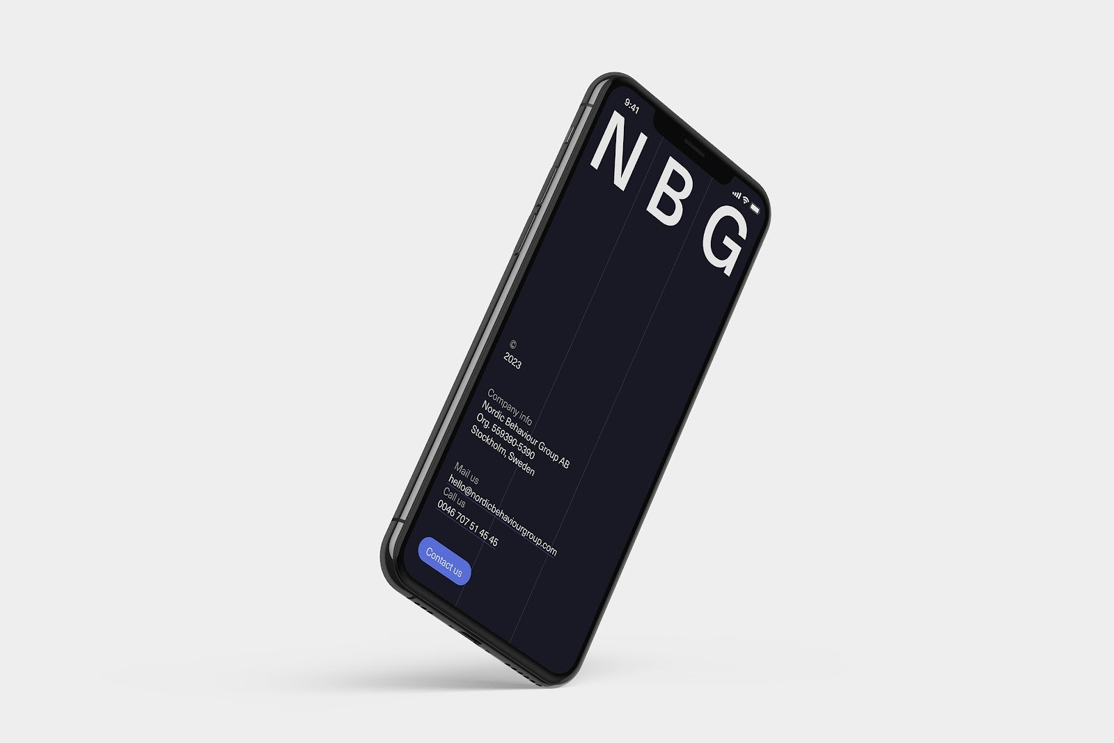 Branding and visual identity artifact from NBG project