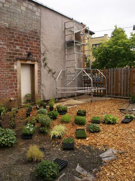 Vertical Garden 2