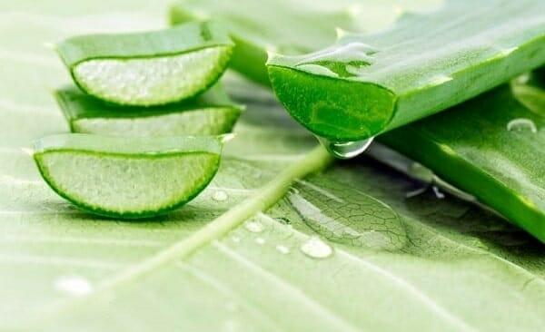 cách trị mụn bằng nha đam